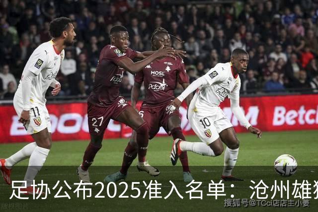 足协公布2025准入名单：沧州雄狮、广州队无缘